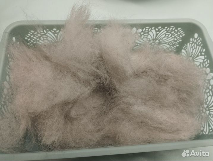 Пух хаски, маламута. Собачья шерсть