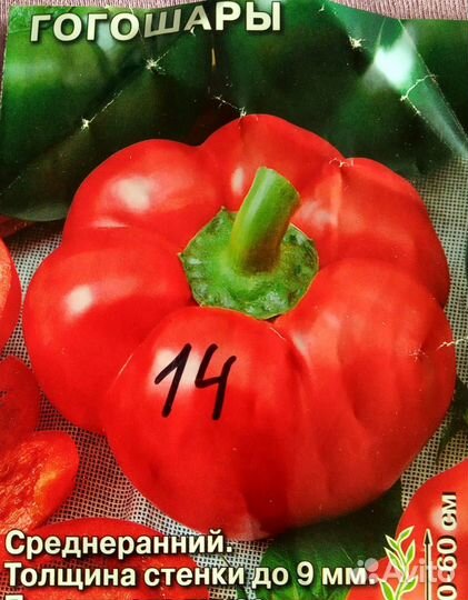 Рассада перца