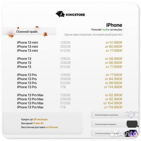 Kingstore - франшиза техники Apple в России