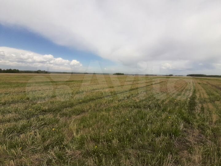 Участок 4 га (СНТ, ДНП)