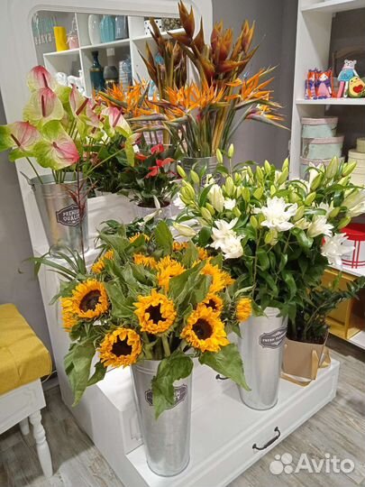 Букет Подсолнухи Цветы Гелиантус