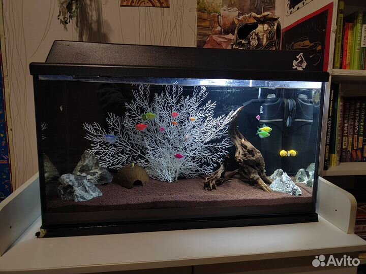 Аквариум