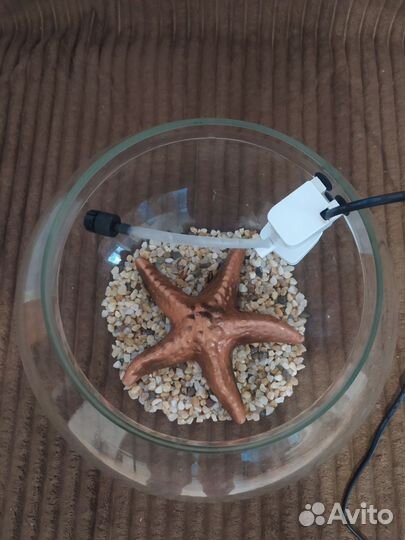 Аквариум круглый