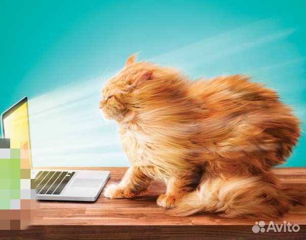 Интернет TV видеонаблюдение