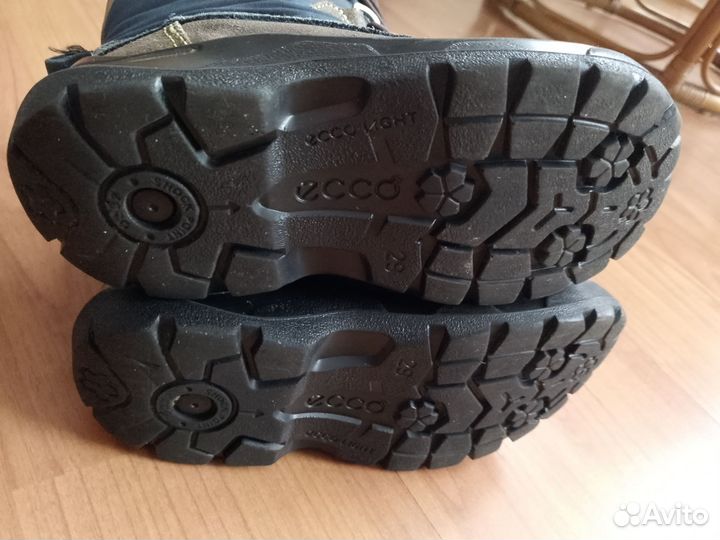 Экко сапожки ботинки