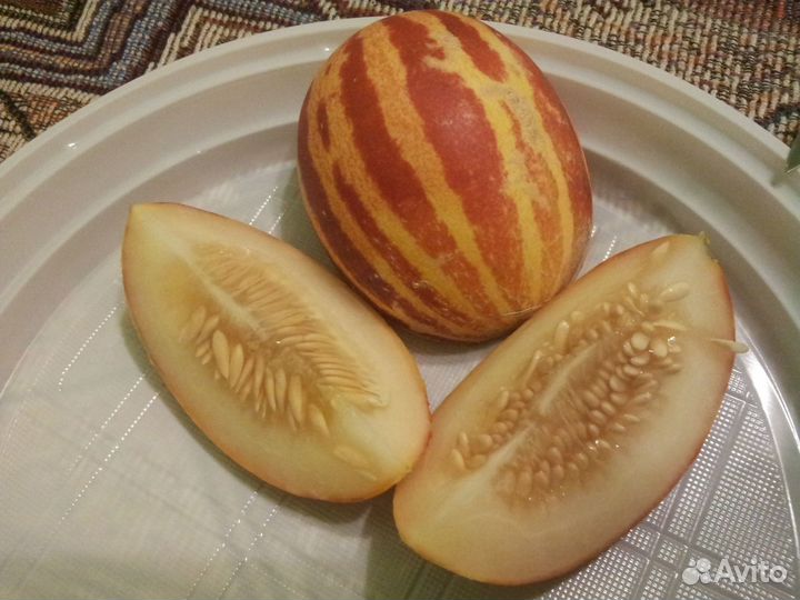 Дыня хошимина