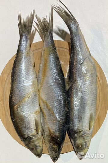 Мясо для собак