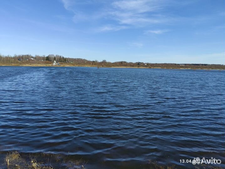 Коммерческий директор. Органическое сельс