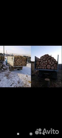 Дрова сосна, лиственница сырая
