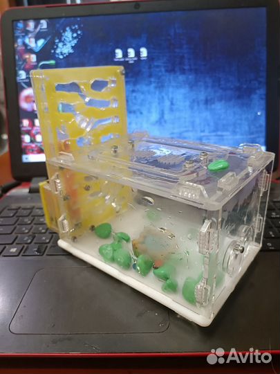 Муравьиная ферма без муравьев с декором и кормом