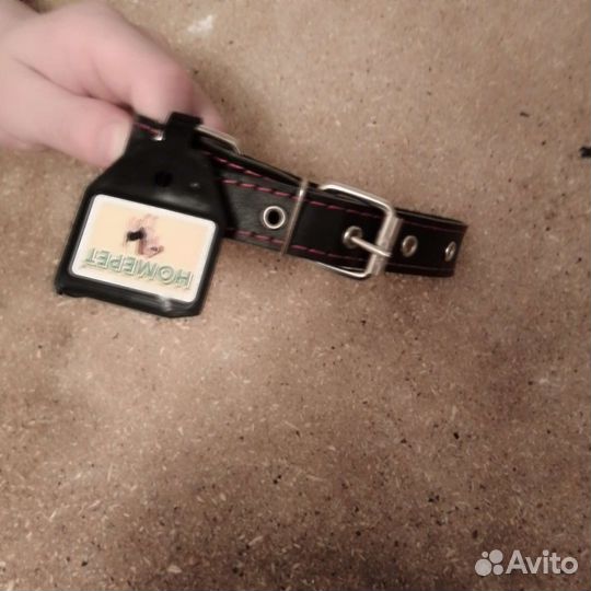 Ошейник для собак