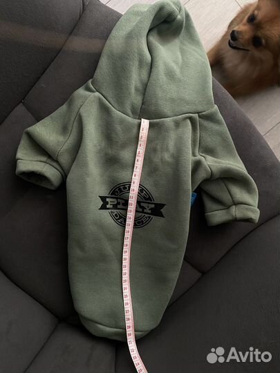 Одежда для собак мелких пород