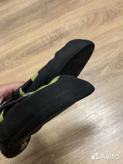 Скальные туфли Evolve 36