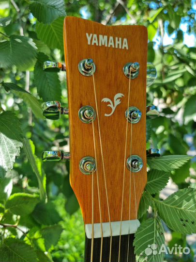 Лучшая гитара для начинающего Yamaha