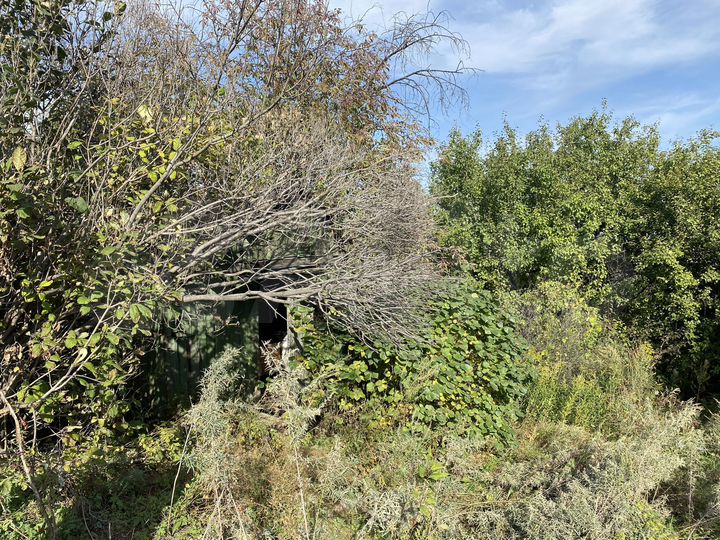 Участок 8 сот. (ИЖС)