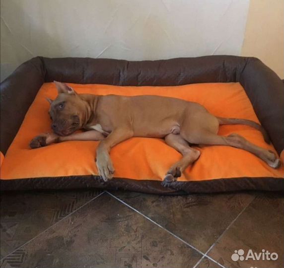 Лежанка для собак любых размеров