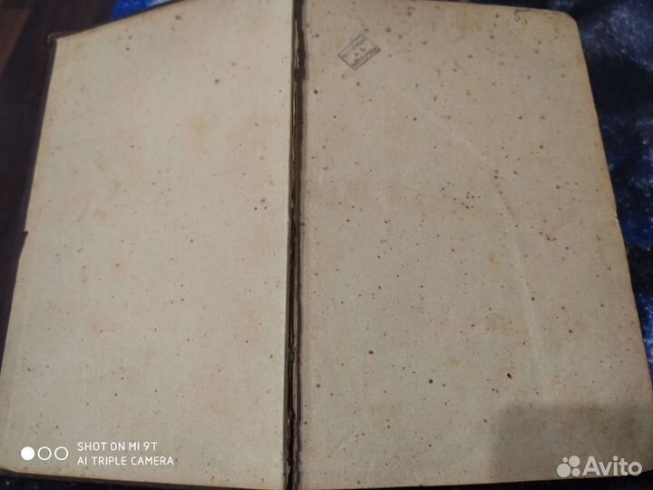 Лесъ сочинение А.Россмеслера 1866г