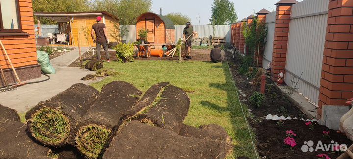 Рулонный газон «Спорт»