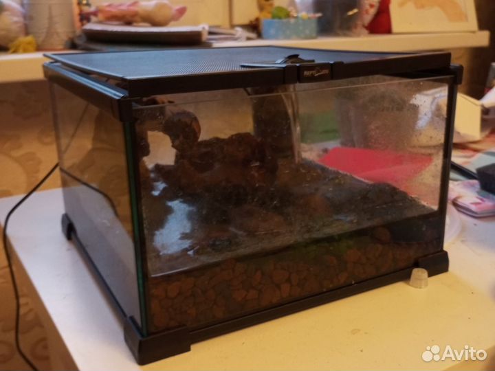 Террариум/аквариум