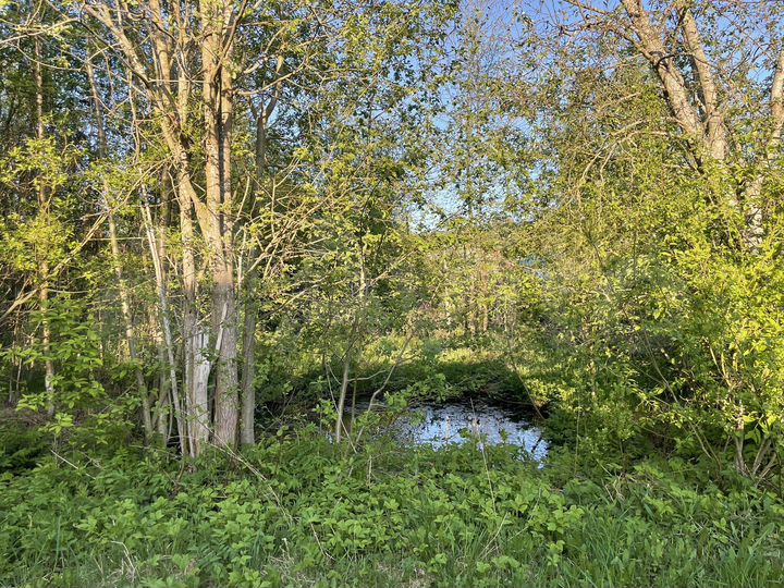 Участок 10 сот. (СНТ, ДНП)