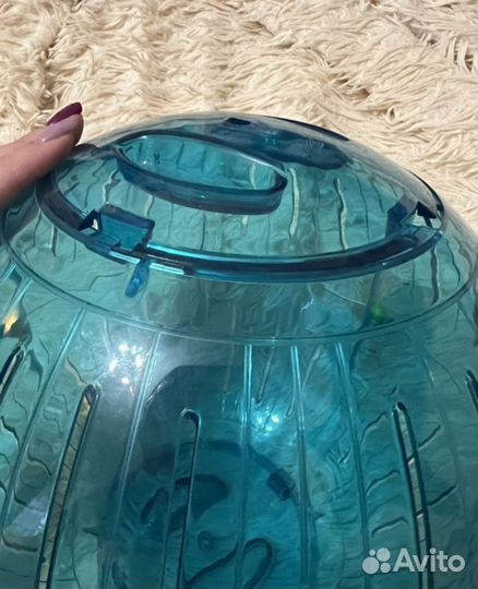 Шар для грызунов