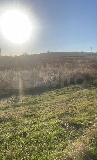 Участок 6 сот. (СНТ, ДНП)