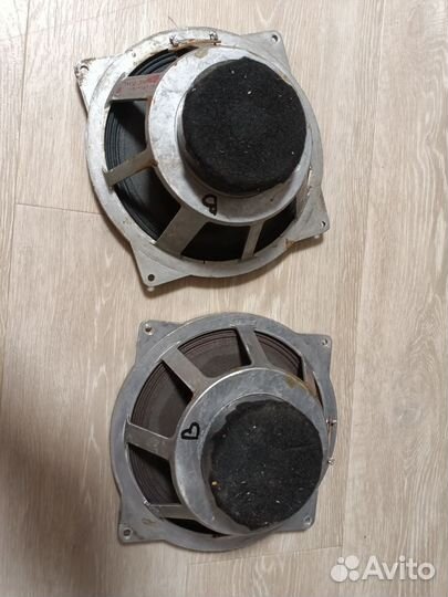 Динамики 10 гдш (небольшие отличия)