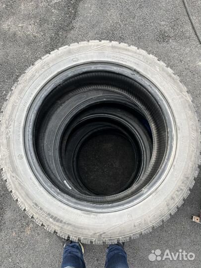 Gislaved NordFrost 100 205/55 R16