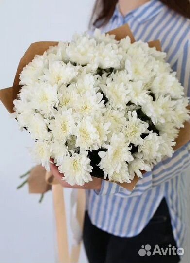 Роза от 40р Цветы Доставка Цветов