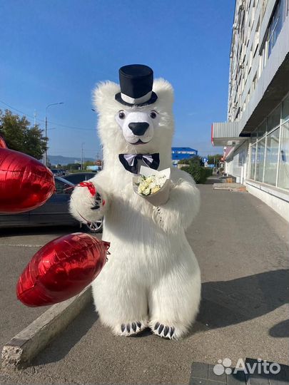 Белый мишка в шляпе Поздравление