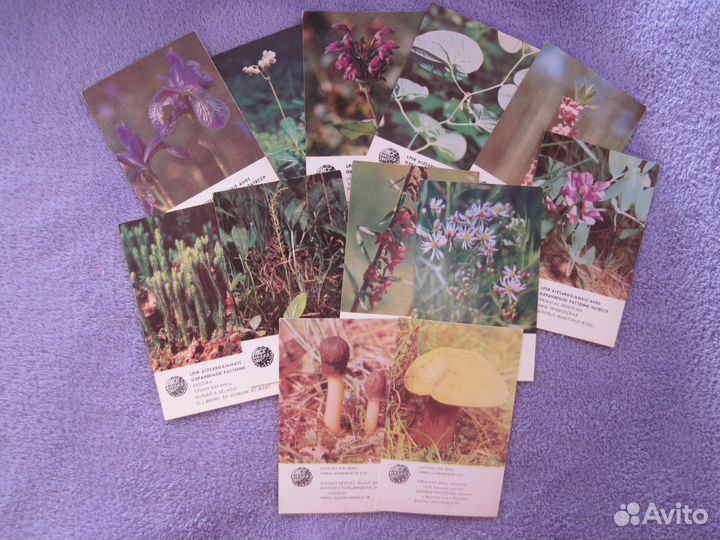 Календари природа, птицы, растения, Красная книга