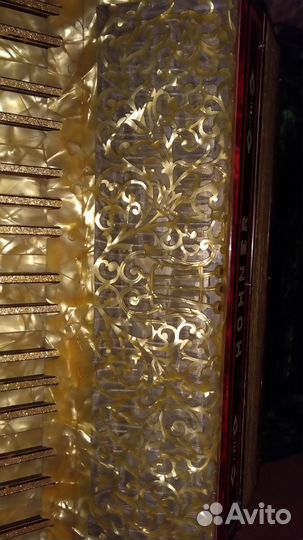 Аккордеон hohner