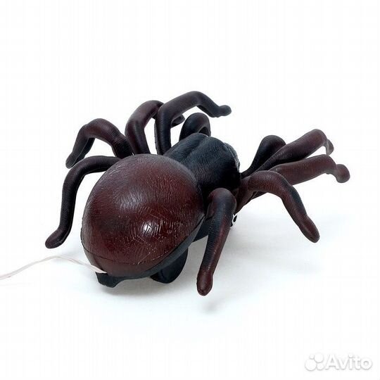 Паук на дистанционном управлении