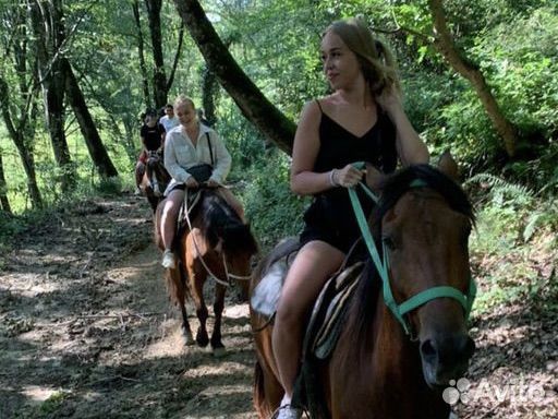 Конные прогулки Адлер, Сочи. Трансфер включен