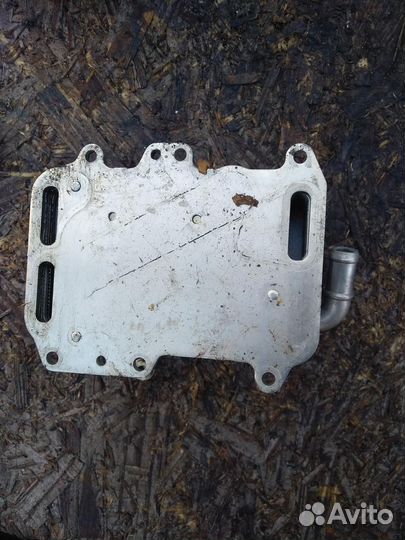 Радиатор масляный 059117021R 3.0 TDI Audi