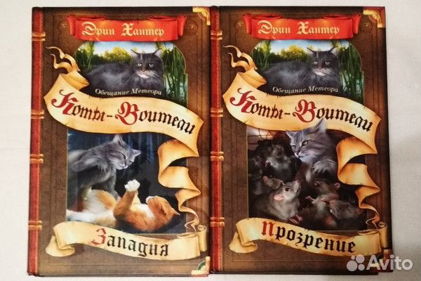 Книги Коты воители Специздания для Алены