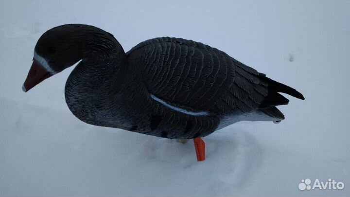 Чучела белолобого гуся Sport Plast DLX940+баул