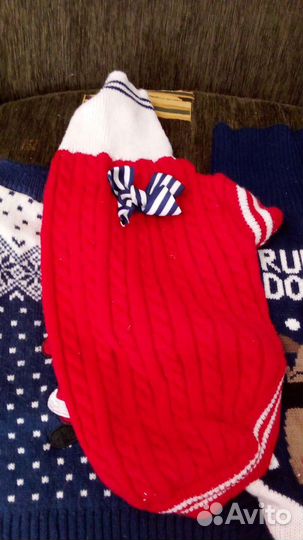 Одежда для собак