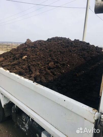 Продам дрова березовые
