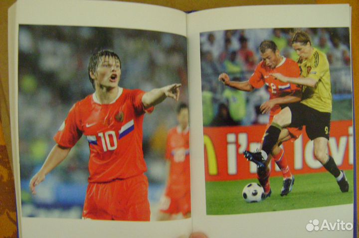 Евро 2008. Гус и его команда