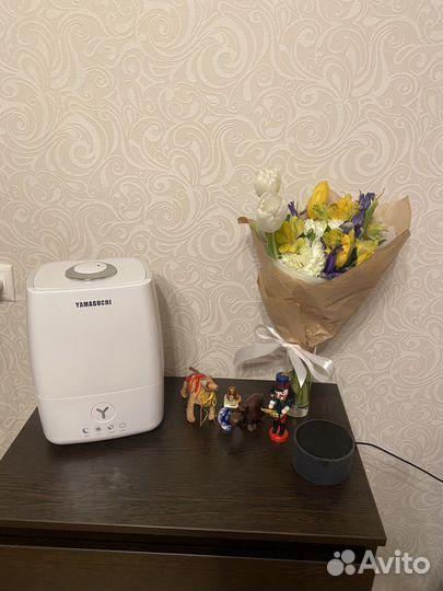 Увлажнитель воздуха Yamaguchi