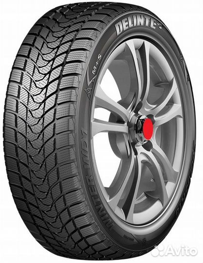 Delinte Winter WD1 205/55 R16 91T
