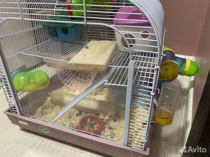 Хомяк джунгарский,Клетка,лабиринт, ванна с песком
