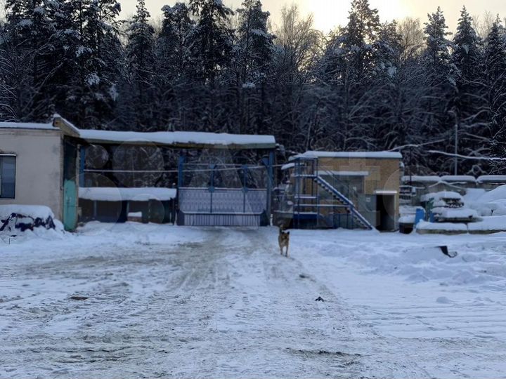 Аренда производства площадью 98.5 м²