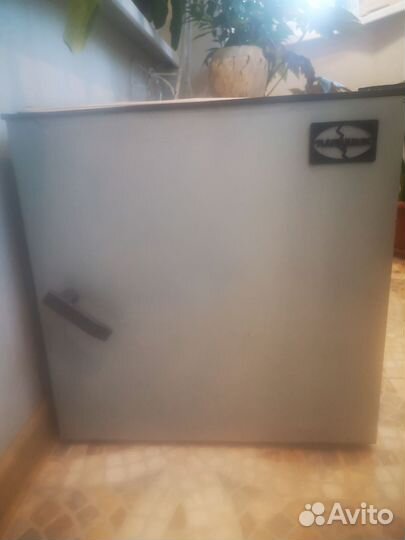 Инкубатор петушок