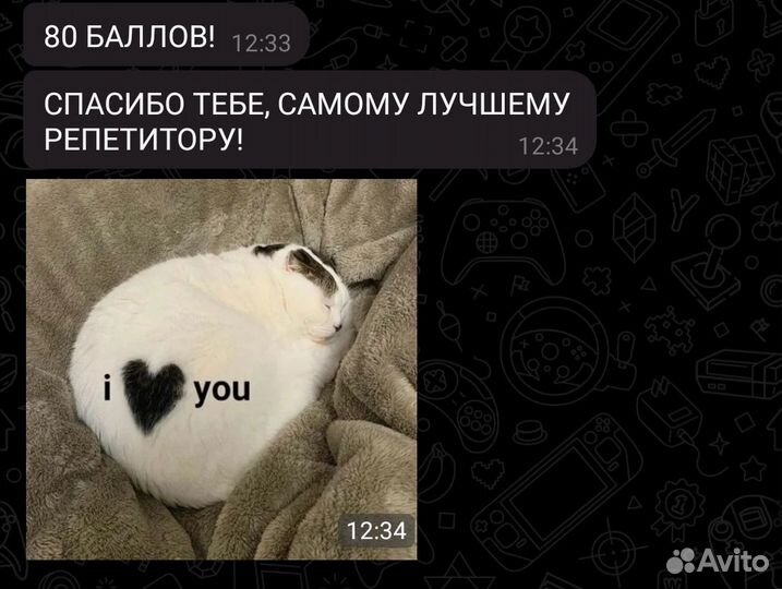 Репетитор по русскому языку и литературе