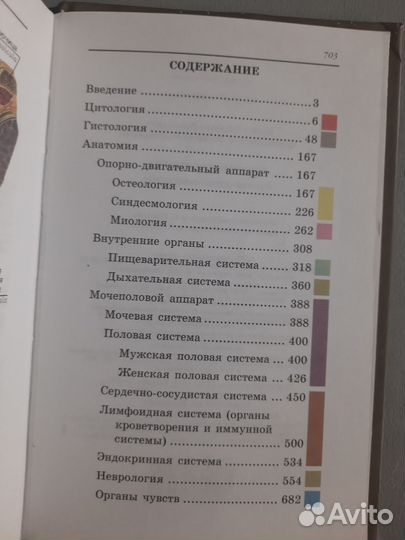 Анатомия человека