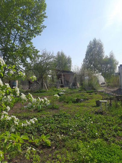 Участок 4 сот. (СНТ, ДНП)