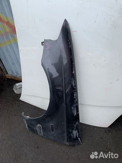 Крыло лев. Honda Domani