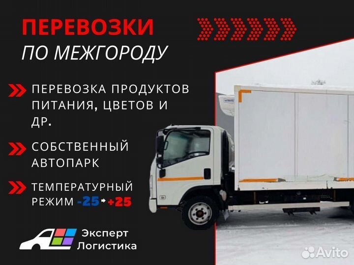 Перевозка в реф/фура 10-20 тонн -20/20 Межгород